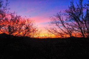 Tubac, AZ | SHIFT Series