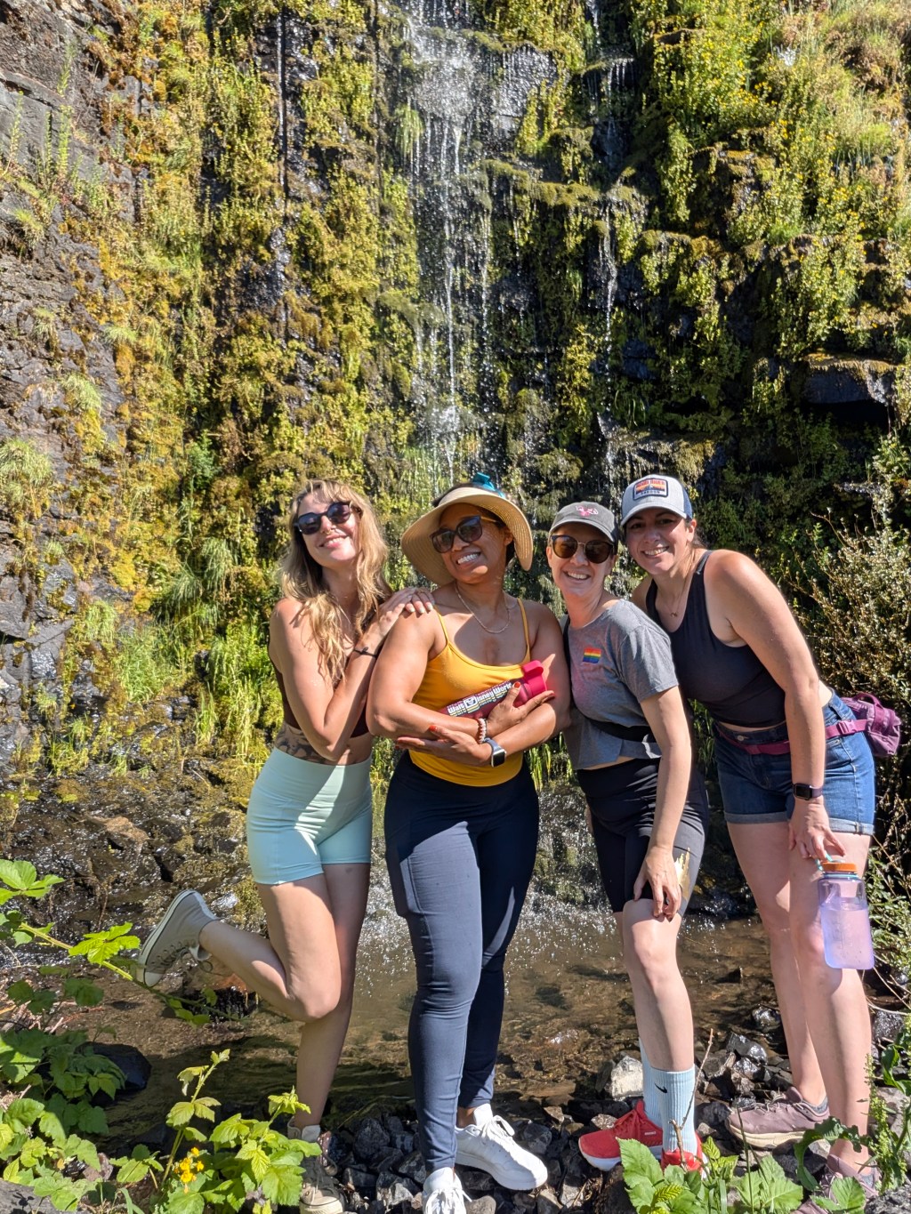 Writers in the&nbsp;Wild